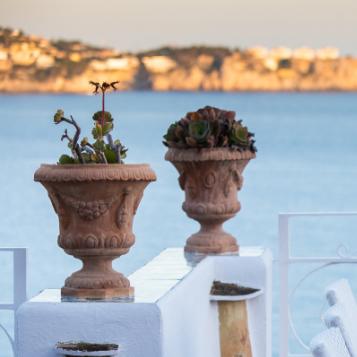A restaurant inspired by the Mediterranean 6